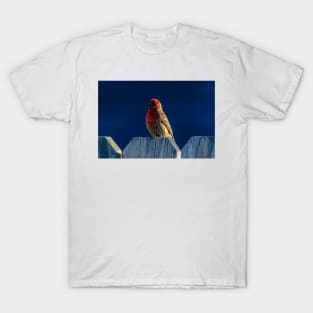 Red House Finch T-Shirt